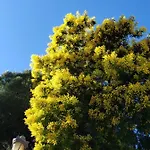 Apartamento T2, Piscine, Parking, Plages à 200m *